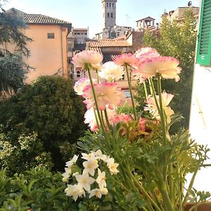 Bed And Breakfast Evelina
